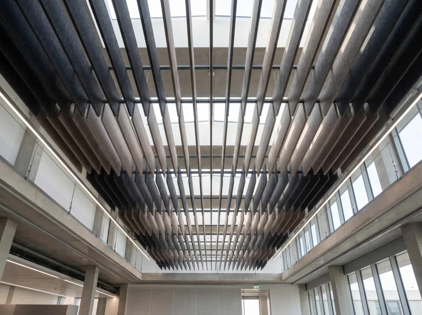 Baffles acoustiques suspendus au plafond d'un open space